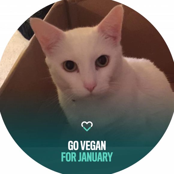 Meet your Posher, Audrey - Picture 1 of 1